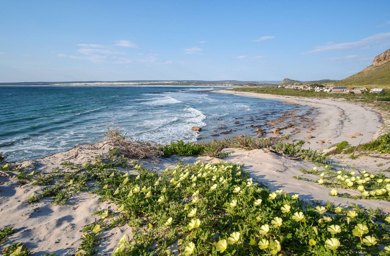 Fork West Holiday Apartments Elands Bay Dış mekan fotoğraf